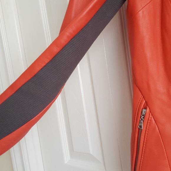 Danier leather jacket 3xs - Picture 5 of 6